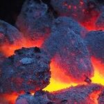 Venus Coal-Walker