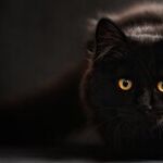 Solar Science and Superstition