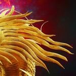 Pisces Sun Imagines Dragons