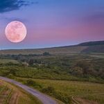 New Moon and the Grand Entrance