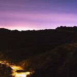 Venus Enchantments