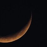 New Moon in Taurus