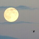 Full-Moon Pre-Show
