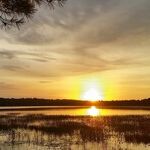Between the Sun and Moon Change