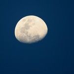 Swollen Moon