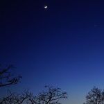 Venus Goes Visionary