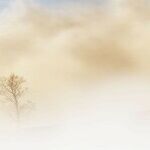 Cosmic Goggle Fog