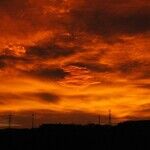 Venus and Jupiter Red Flags