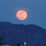 Ramp-Up to Harvest Moon