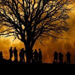 Happy Harvest Moon