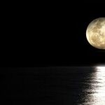 Moon Puts a Spin on Gratitude