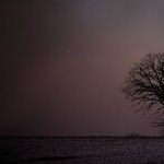 When the Moon Comes Down to Earth