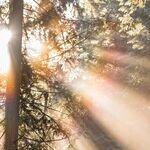 Sun Change, You Change