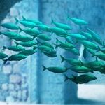Slippery Fish Moon