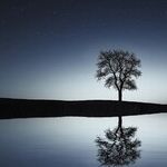 Full Moon's Question