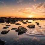 Mercury Opposition and Identity