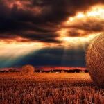 Harvest Moon Eve
