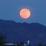 Harvest Moon