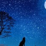 Lunar Education Quest