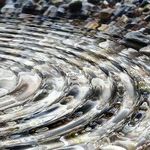 All-Inclusive Transit of Mercury