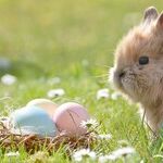 Happy Late Easter