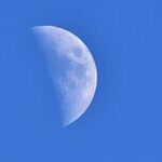 The Moon of Mind Your Own Business