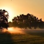 Mercury's First Moments in Cancer