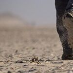 The Nature of Nurturing According to Mars
