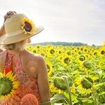 Virgo Sun Check-In
