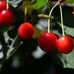 Autumnal Equinox