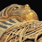 Venus Redefines Stress
