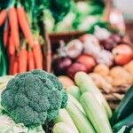 Mercury Goes Vegan