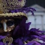A Mercury Retrograde Mardi Gras