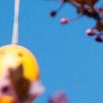Easter Egg Moon