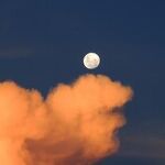 Hangry Morning Moon