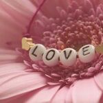 Stars and Hearts