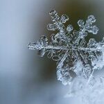 Lessons from the Frozen Distance