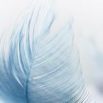 Aspects of Aeolus