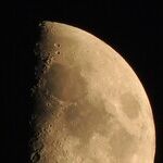Appetite Moon Reminder