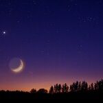 Venus Drama