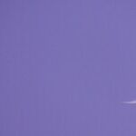 New Moon of Eight, Eight