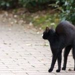 Fates and Friday the 13th