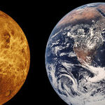 Venus Goes Home