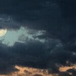 Lunar Tips for Maximizing Opportunity