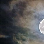 Memory-Making Moon