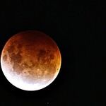 New Moon Pre-Show