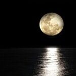 What the Moon Says