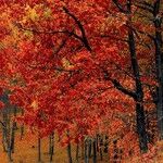 Autumnal Equinox