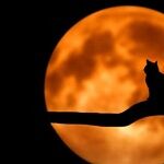 Hunter's Moon