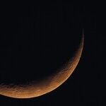 New Moon Prep Day